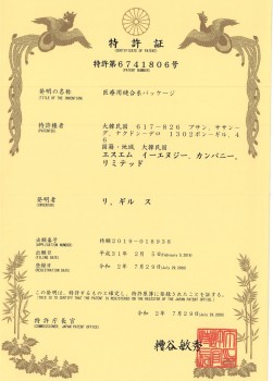 Japan Patent